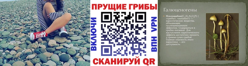 дарнет шоп  Нефтеюганск  hydra вход  Псилоцибиновые грибы GOLDEN TEACHER 