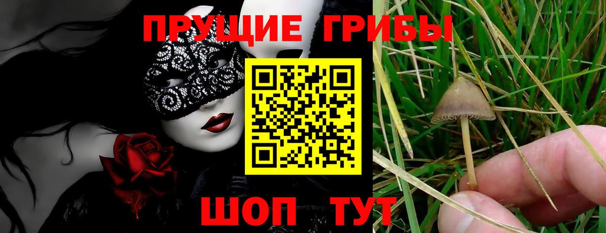 Галлюциногенные грибы GOLDEN TEACHER Нефтеюганск